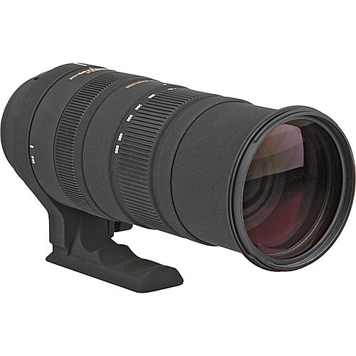 Sigma 150 500mm f 5-6.3 dg os hsm apo lens